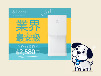 なぜ？locca litta